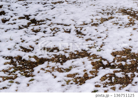 まだらに積もった雪と地面の模様 136751125