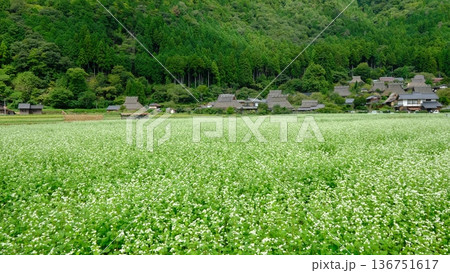初秋の美山かやぶきの里 136751617