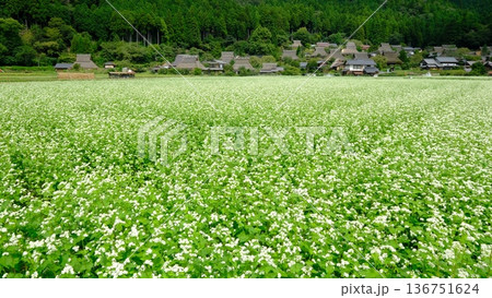 初秋の美山かやぶきの里 136751624
