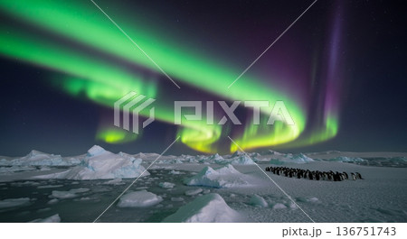 南極のオーロラのイメージ画像 136751743