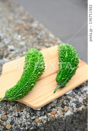 家庭菜園のゴーヤ 家庭菜園のゴーヤ 136751982