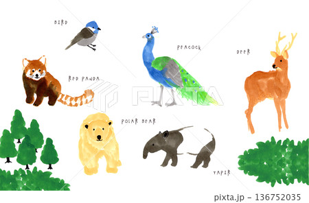 かわいい動物のイラストセット かわいい動物のイラストセット 136752035
