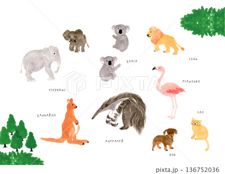 いろいろな動物の手書きイラストセット いろいろな動物の手書きイラストセット 136752036