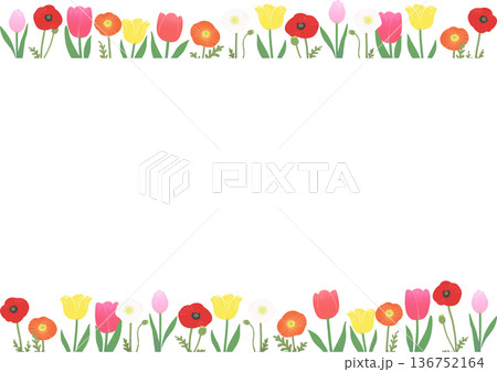 春の花フレームのベクターイラスト チューリップとポピーの装飾枠素材 春の花フレームのベクターイラスト チューリップとポピーの装飾枠素材 136752164