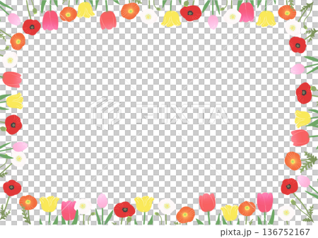 春季花卉邊框向量圖：鬱金香和罌粟花裝飾邊框素材 136752167