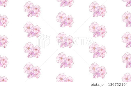 桜の花　④ 136752194