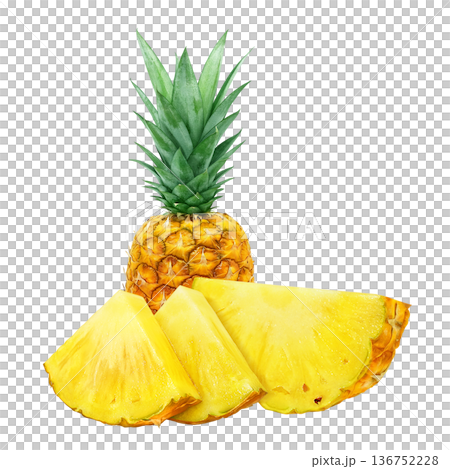 逼真的菠蘿插圖 136752228