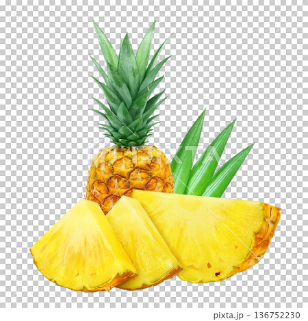 Pineapple illustration pineapple realistic 136752230