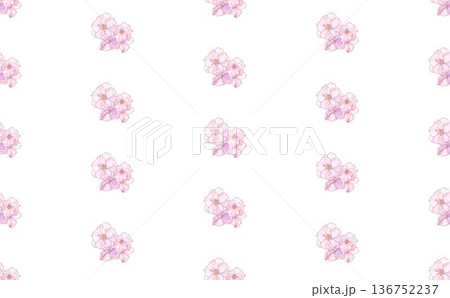 桜の花　⑤ 136752237