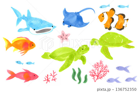 夏の海のカラフルな生き物イラスト 136752350