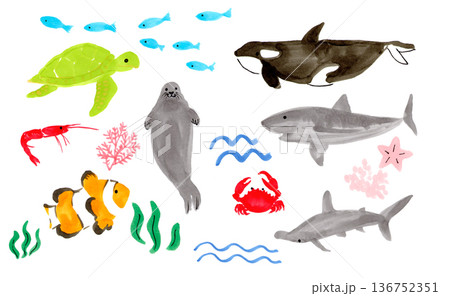 海で泳ぐ生き物たち 136752351