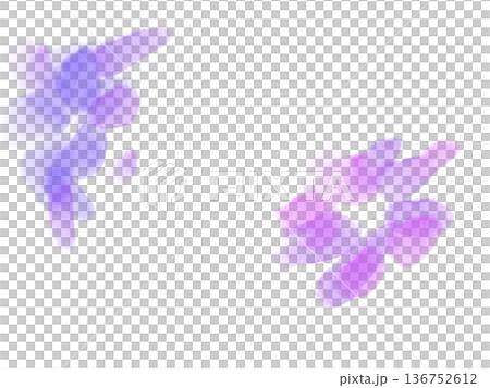 白色背景花卉素材，白色背景，透射光，素材 136752612