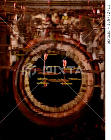 ベトナム ホイアンの風景 ベトナム ホイアンの風景 136752711