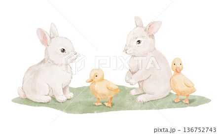 Watercolour cute ducklings and rabbits on grass. Hand drawn isolated illustration for card and poster, baby farm animals scene 136752743