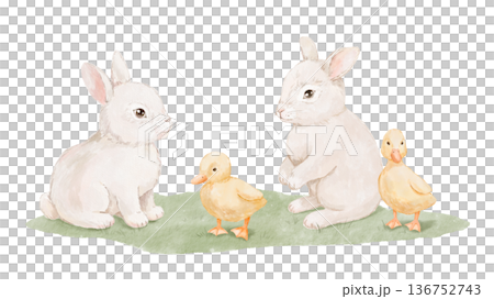Watercolour cute ducklings and rabbits on grass. Hand drawn isolated illustration for card and poster, baby farm animals scene 136752743