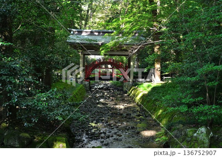 彌彦神社境内の玉の橋（新潟県弥彦村） 136752907