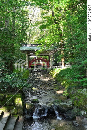 彌彦神社境内の玉の橋(新潟県弥彦村) 彌彦神社境内の玉の橋(新潟県弥彦村) 136752908