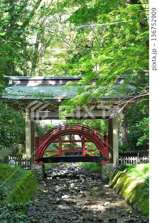 彌彦神社境内の玉の橋（新潟県弥彦村） 136752909