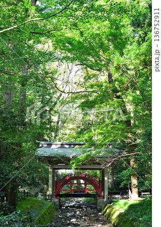 彌彦神社境内の玉の橋（新潟県弥彦村） 136752911