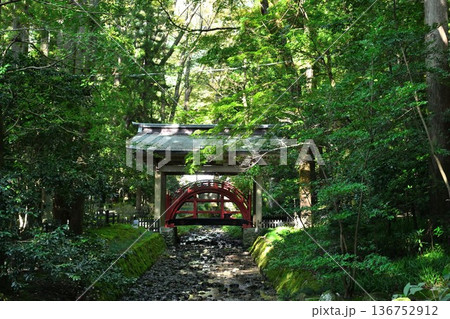 彌彦神社境内の玉の橋（新潟県弥彦村） 136752912