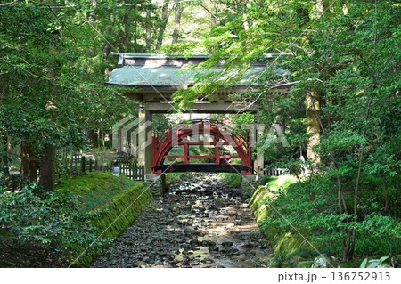 彌彦神社境内の玉の橋（新潟県弥彦村） 136752913
