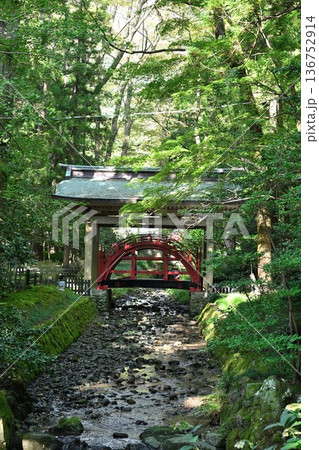 彌彦神社境内の玉の橋(新潟県弥彦村) 彌彦神社境内の玉の橋(新潟県弥彦村) 136752914