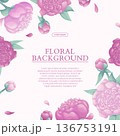 Colorful background with beautiful delicate peonies. Wedding concept, March 8th, mother's day, birthday. Vector illustration for the design of posters, flyers, postcards, invitations 136753191