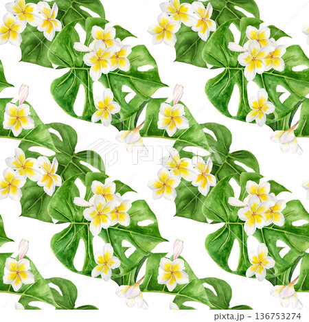 Seamless watercolor tropical pattern with white plumeria flowers and yellow centers arranged over green monstera leaves. Hand painted repeating botanical print for textile, wallpaper, surface print 136753274