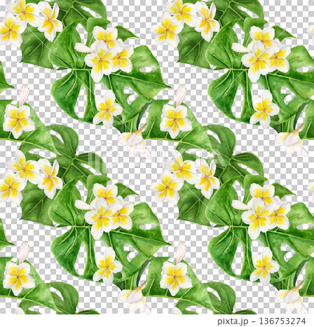 Seamless watercolor tropical pattern with white plumeria flowers and yellow centers arranged over green monstera leaves. Hand painted repeating botanical print for textile, wallpaper, surface print 136753274