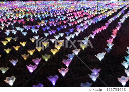 イルミネーション（光の演出） 136753428