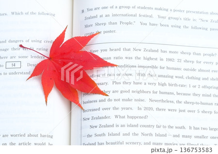 英語長文と秋の葉のイメージ素材 英語長文と秋の葉のイメージ素材 136753583