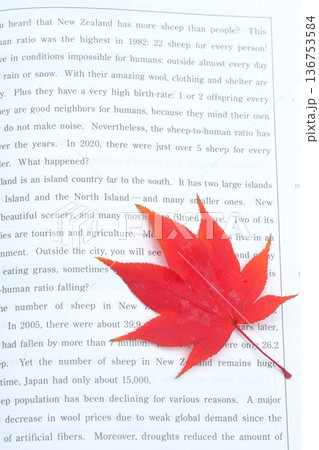 英語長文と秋の葉のイメージ素材 136753584