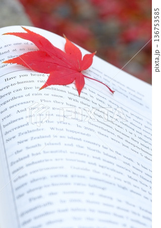 英語長文と秋の葉のイメージ素材 英語長文と秋の葉のイメージ素材 136753585