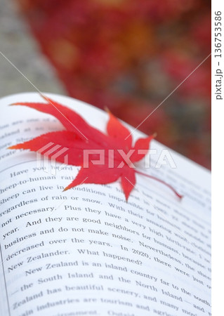 英語長文と秋の葉のイメージ素材 136753586