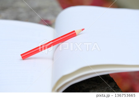 ノートともみじの秋イメージ素材 136753665