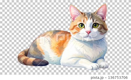 猫のイラスト素材 136753706