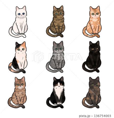 猫のイラスト素材 おすわりポーズ 毛色9種 136754003