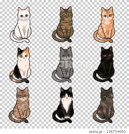 猫のイラスト素材 おすわりポーズ 毛色9種 136754003