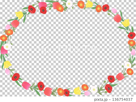 春季花卉圓形邊框向量圖。鬱金香和罌粟花組成的圓形裝飾邊框素材。 春季花卉圓形邊框向量圖。鬱金香和罌粟花組成的圓形裝飾邊框素材。 136754037