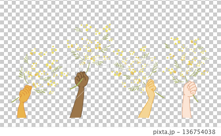 Illustration of various hands holding mimosas Illustration of various hands holding mimosas 136754038