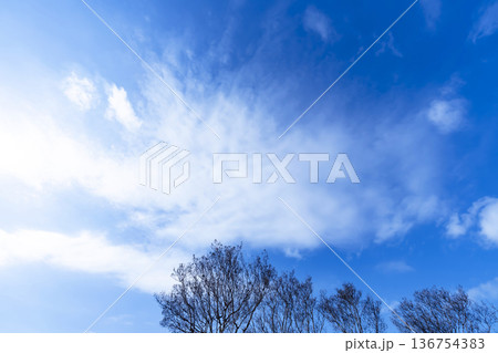 冬空と雲と木立 冬空と雲と木立 136754383