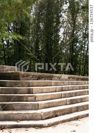 Weathered concrete steps set outdoors with tall trees in the background Weathered concrete steps set outdoors with tall trees in the background 136754537