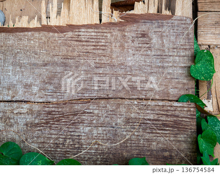 Old Weathered Wood Planks Background with Fresh Green Ivy Climbing Old Weathered Wood Planks Background with Fresh Green Ivy Climbing 136754584
