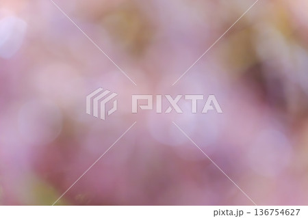 ピンクと白の光が重なり合う幻想的な玉ボケ背景素材 136754627