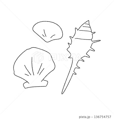 シンプルな手書きの貝がらのイラスト 136754757