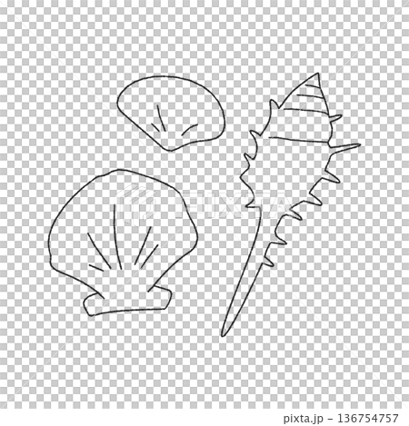 シンプルな手書きの貝がらのイラスト 136754757