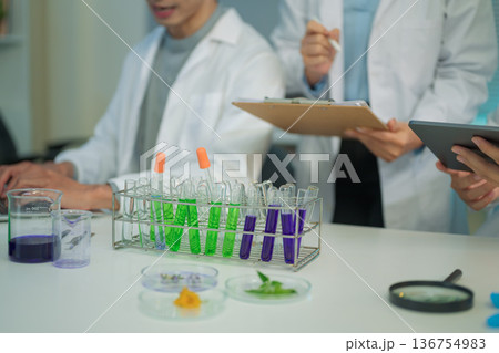 Test tubes with green and purple liquid samples in a laboratory rack, symbolizing scientific research, analysis, and experimental chemistry. 136754983