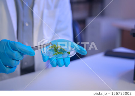 Laboratory workspace with microscope, green chemical solution, and research documents, representing modern scientific analysis and controlled experimentation. Laboratory workspace with microscope, green chemical solution, and research documents, representing modern scientific analysis and controlled experimentation. 136755002