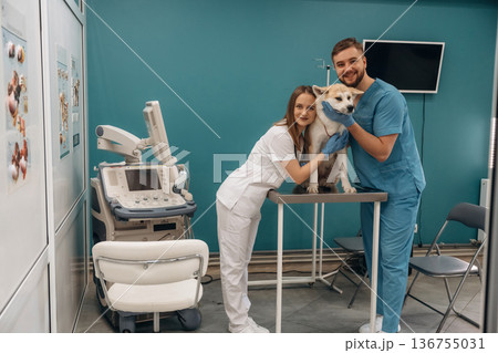 Equipment for ultrasonic testing. Veterinarians are with Akita Inu dog in clinic Equipment for ultrasonic testing. Veterinarians are with Akita Inu dog in clinic 136755031