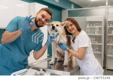 Everything is fine, hands gesture. Veterinarians are with Akita Inu dog in clinic Everything is fine, hands gesture. Veterinarians are with Akita Inu dog in clinic 136755248